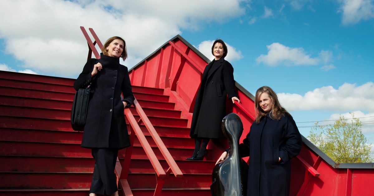 Gauguin Ensemble — Beethoven en Bruch